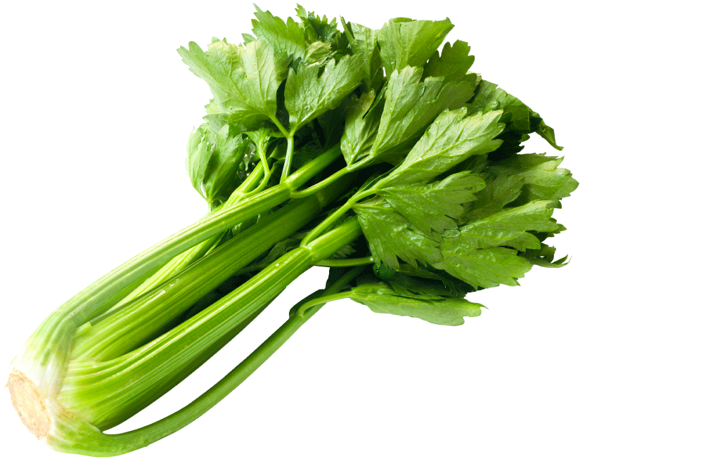 cel