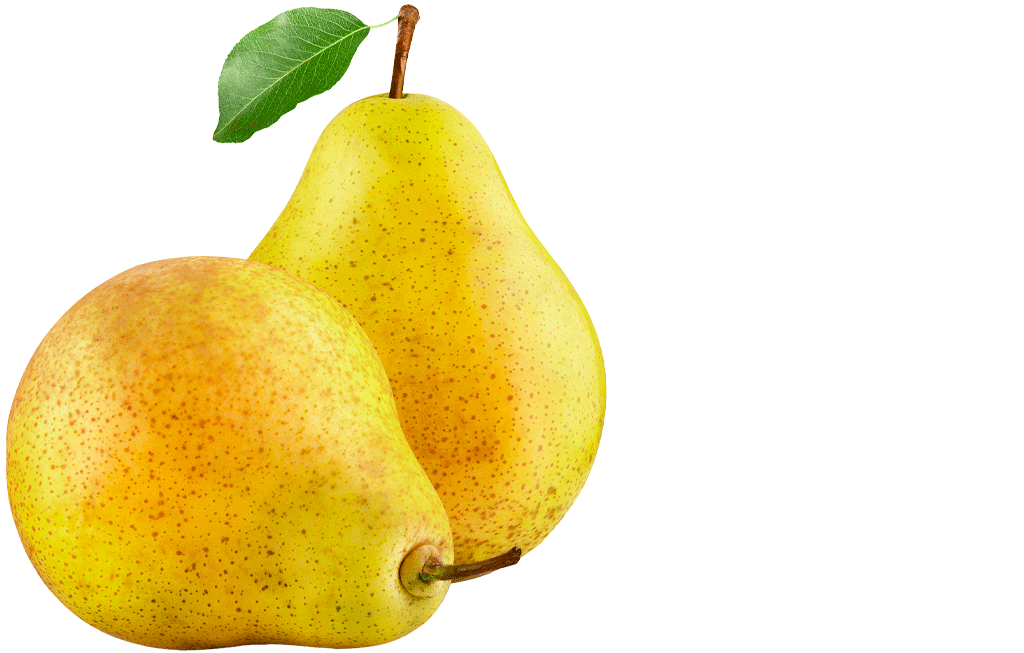 pere-ok