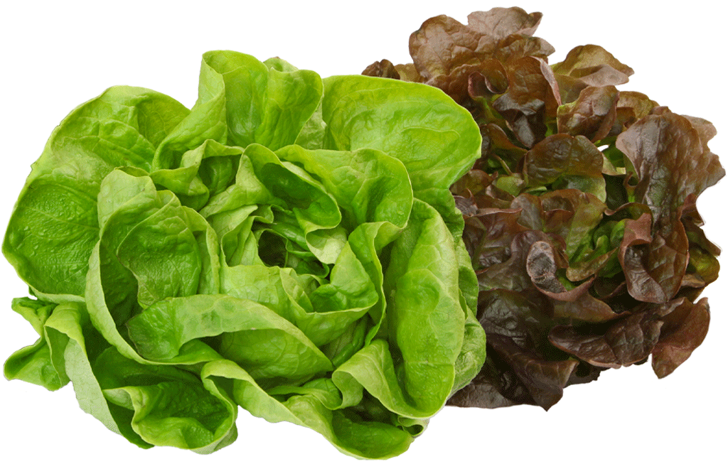 salade